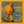 agrypneite agrypneite