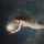 Andy Limoon Andy Limoon