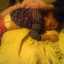 BreezyBee!