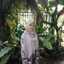 Mrs. Indah