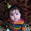 Nour Mohammad 1993