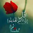 رويحه الجنه