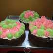Huang🍰🍰