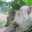 Nyonya_ery