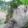 Nyonya_ery Nyonya_ery
