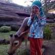 Carista Ika