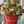 Anastasoula28 Anastasoula28