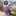 kakali sen kakali sen