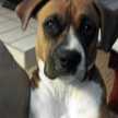 addie008