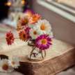 Cooking_Fatemeh