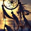iidream