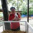 Stefany Sensia M