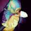 Dapur_hany