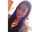 Stefanie Gunawan Stefanie Gunawan