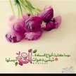 ,شوق جنوبيه