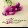,شوق جنوبيه ,شوق جنوبيه