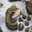 Souad Aouad