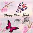 Rudeep Roy