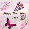 Rudeep Roy