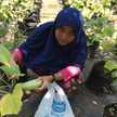 Rany Aulia Reyana