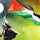 فلسطين وطني