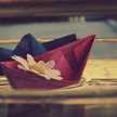 ♡Zainab♡