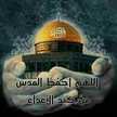 هواش roro Hawwash