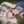 Mariela Mariela