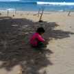 Putri N