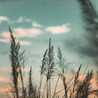 Manisha Oza