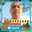 Sri Widodo Widodo