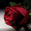 malak0rohy