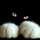 Sandrine Delepinne Sandrine Delepinne