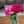 Shrooq 667