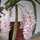 shity_noerjannah123 shity_noerjannah123