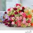 Amira Abdel Mageed