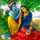 Pooja Choudhary Pooja Choudhary