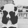 Shaima Fuad