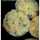 Rina Laurence (recipesbyrina) Rina Laurence (recipesbyrina)