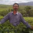 Yaya Suryadi