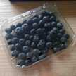 healthy recipes