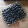 healthy recipes