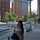 Desy NewYork