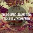 Berenice 