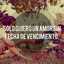 Berenice 