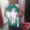 YS Yuvraj