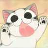 lucas n.n