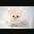 Kittike17 Kittike17