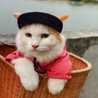 Icha