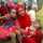 Heny Nabil Heny Nabil